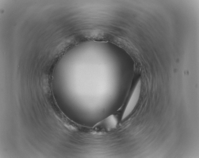 X0000070420416200606302106