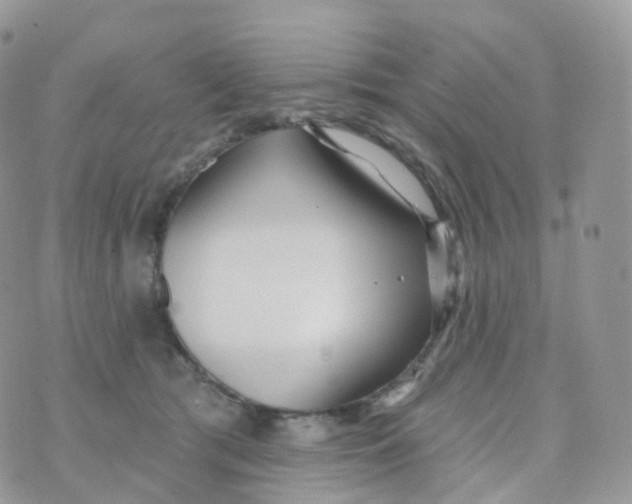 X0000070420417200606302106