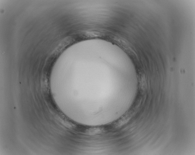 X0000070420418200606302106