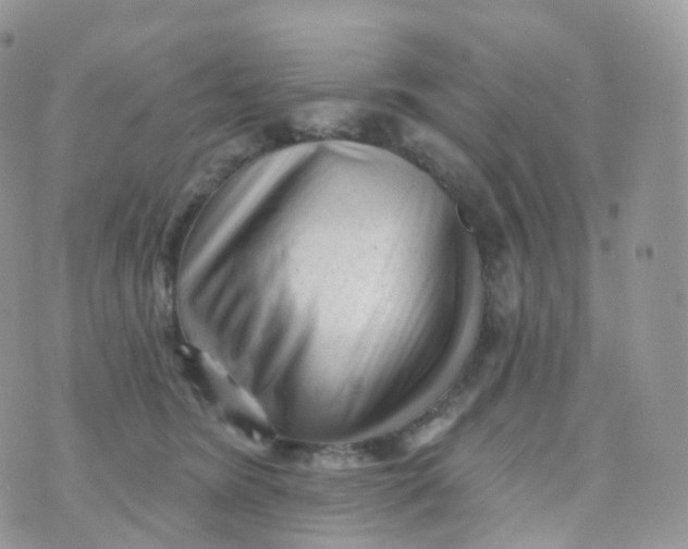 X0000070420420200606302106