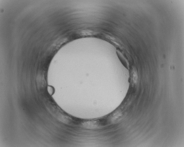 X0000070420422200606302106