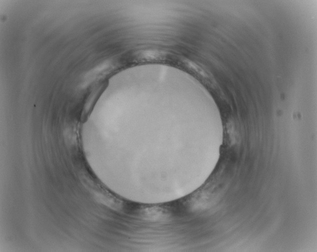 X0000070420423200606302106