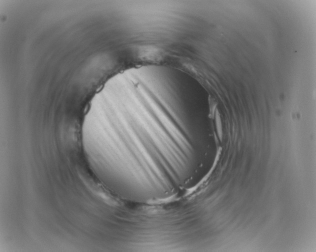 X0000070420424200606302106