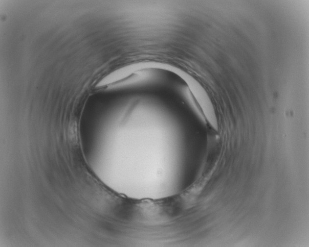 X0000070420425200606302106