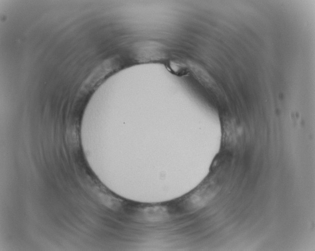 X0000070420426200606302106