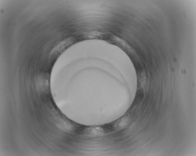 X0000070420427200606302106