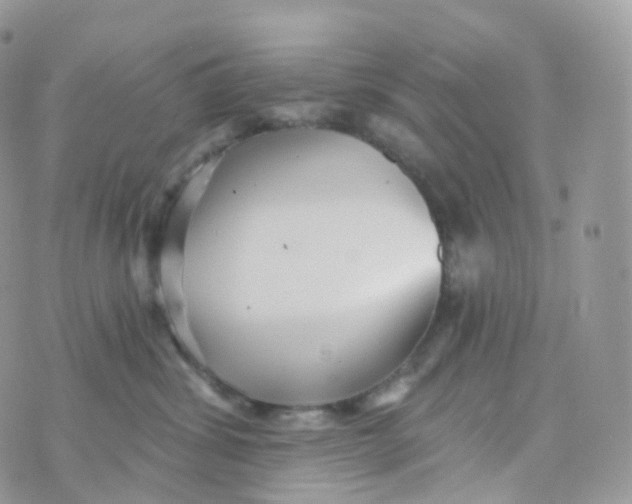 X0000070420428200606302106