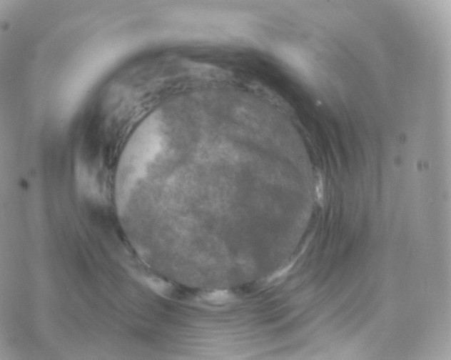 X0000070420431200606302106