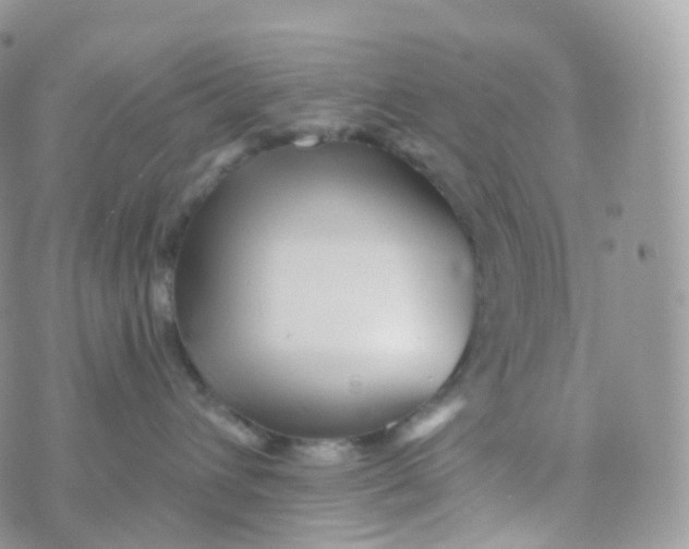 X0000070420432200606302106