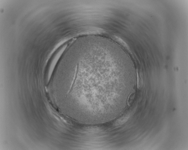 X0000070420435200606302105