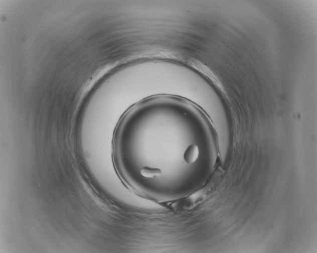 X0000070420436200606302105