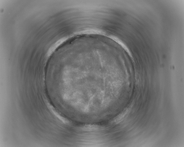 X0000070420437200606302105