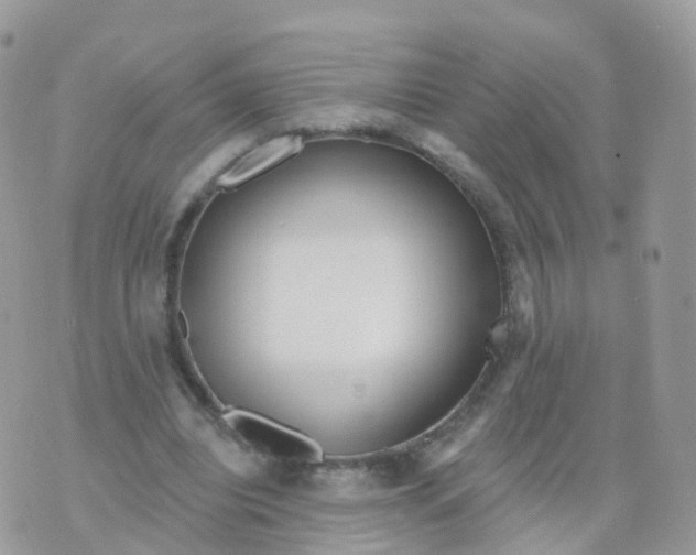 X0000070420440200606302105