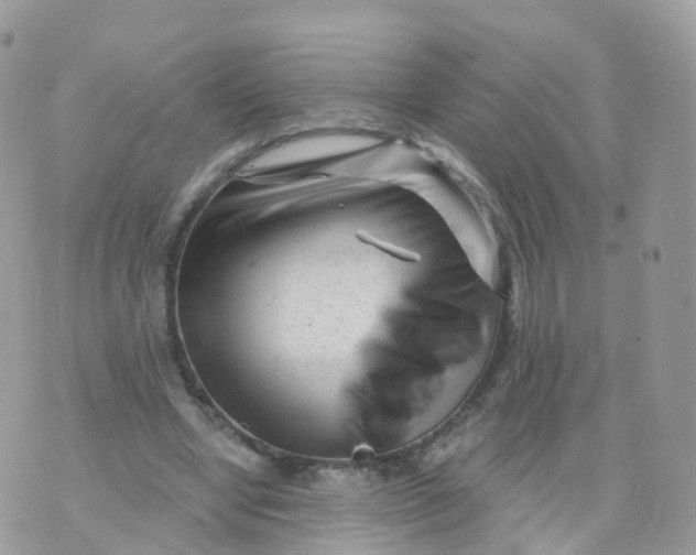 X0000070420442200606302105