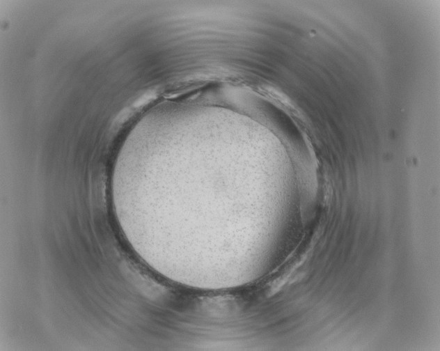 X0000070420446200606302105