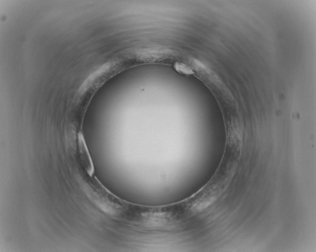 X0000070420448200606302105