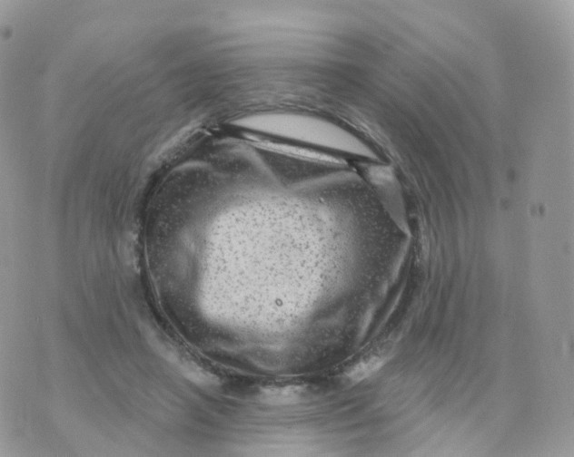 X0000070420450200606302105