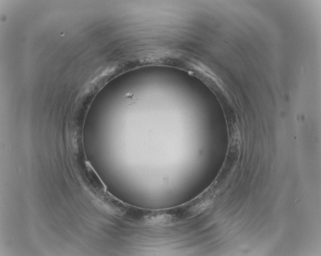 X0000070420452200606302105