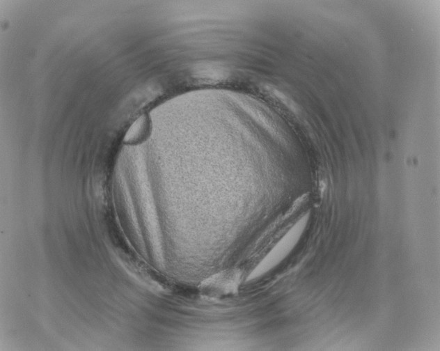 X0000070420455200606302105