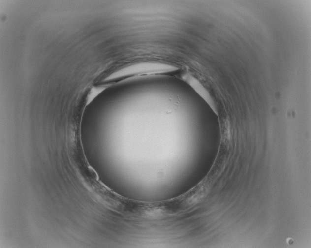 X0000070420456200606302105