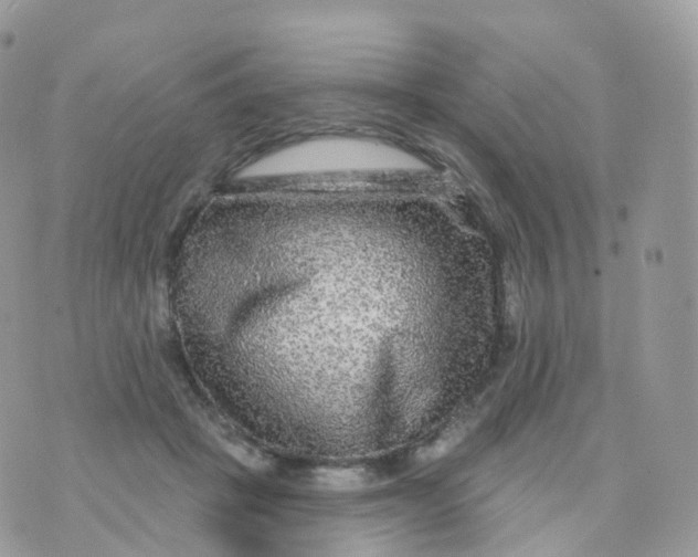 X0000070420457200606302105