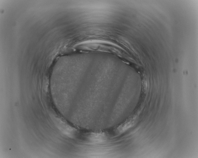 X0000070420458200606302105