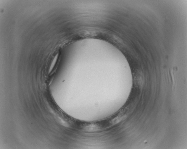 X0000070420460200606302105