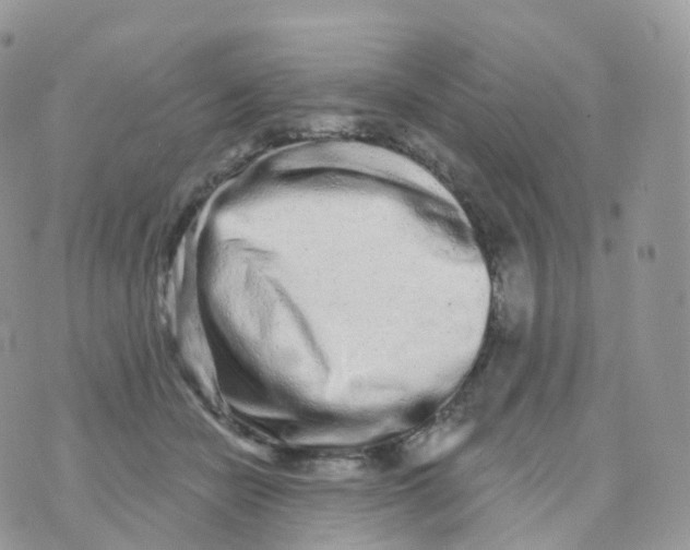 X0000070420462200606302105