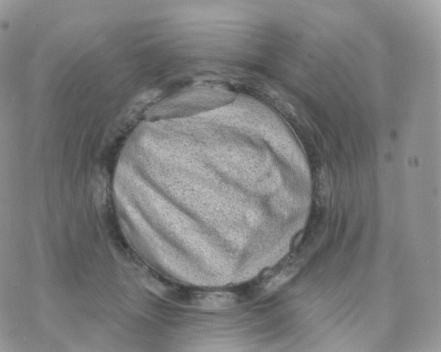 X0000070420463200606302105