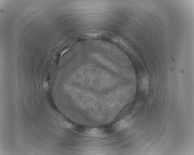 X0000070420467200606302105