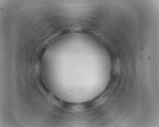 X0000070420468200606302105