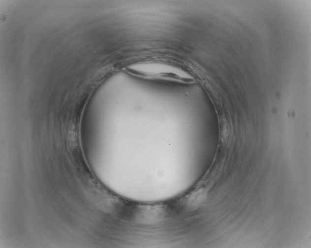 X0000070420469200606302105