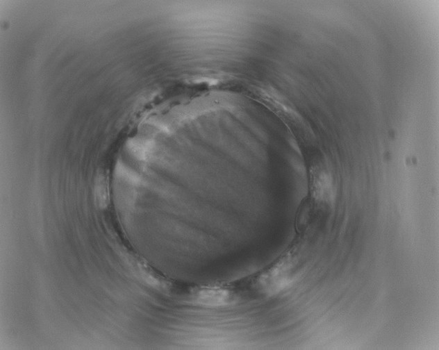 X0000070420471200606302105