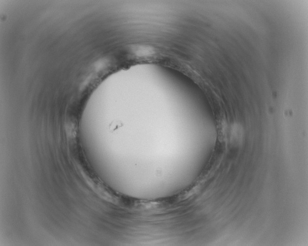 X0000070420472200606302105