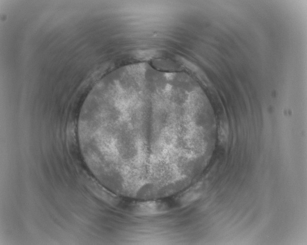 X0000070420473200606302106