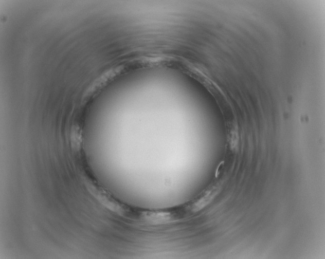 X0000070420476200606302106