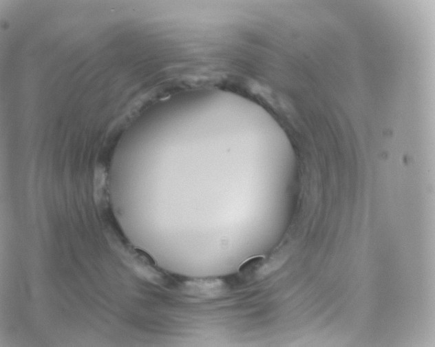 X0000070420480200606302106