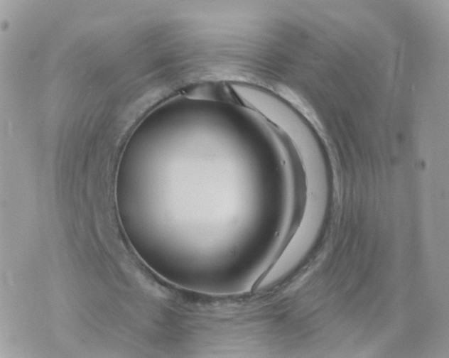 X0000070420481200606302105