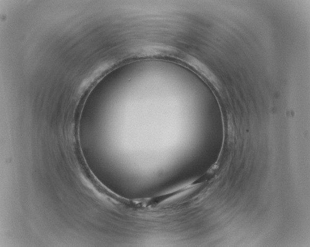 X0000070420485200606302105