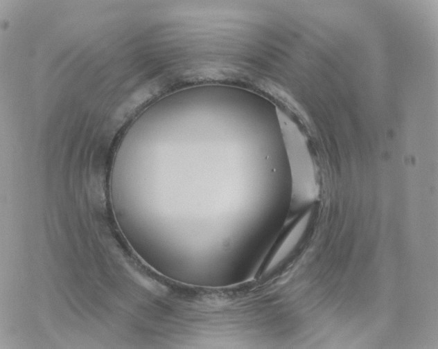 X0000070420489200606302105