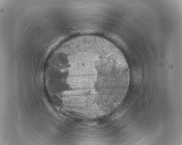 X0000070420491200606302105