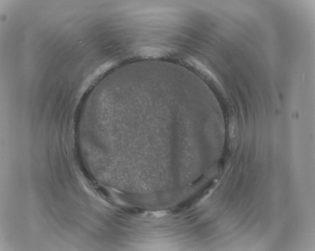 X0000070420492200606302105