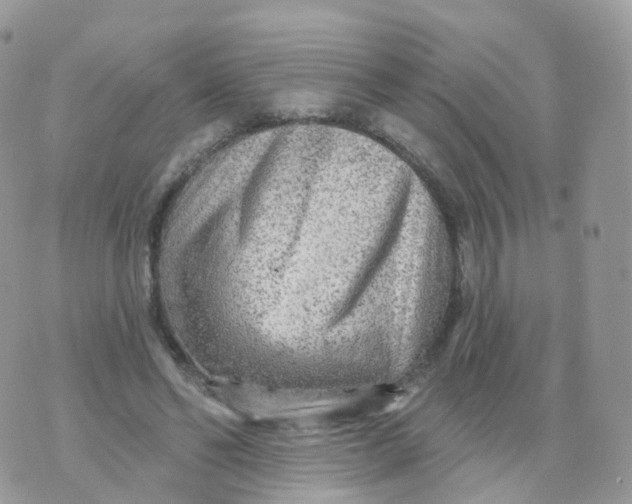 X0000070420494200606302105