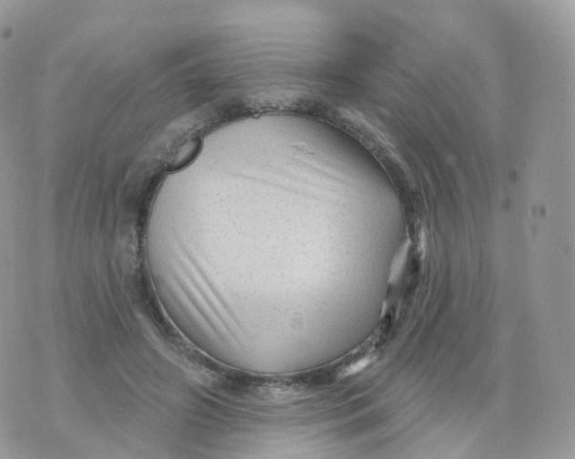 X0000070420498200606302105