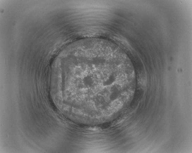 X0000070420503200606302104