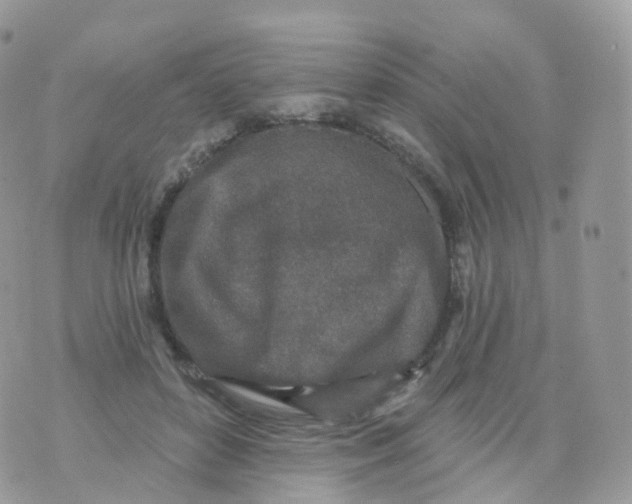 X0000070420504200606302104