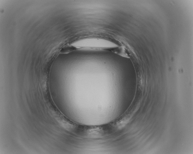 X0000070420505200606302104