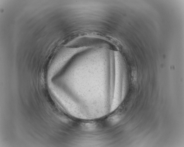 X0000070420506200606302104