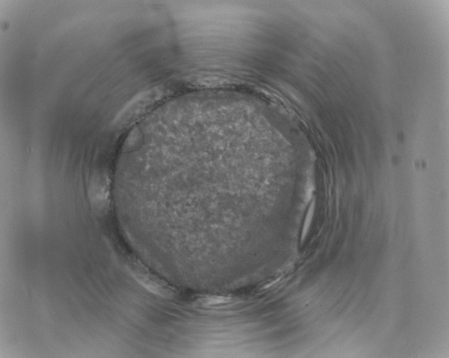 X0000070420507200606302104