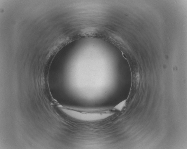 X0000070420508200606302104